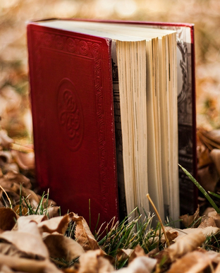 Camila Fernandes VERDE EFEMERO DO EDEN pdf download gratis