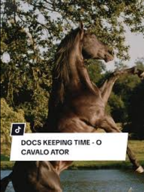 Kate Hill Cavaleiros V GARANHAO DA VITORIA pdf download gratis