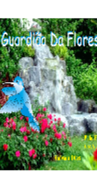 O Guardião da Floresta (Psicografia Robson Dias Espírito Vovó Amália) pdf download gratis