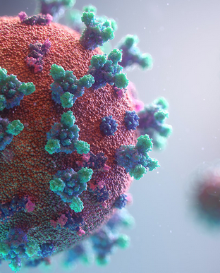 P-1011 Ataque das células de virus pdf download gratis