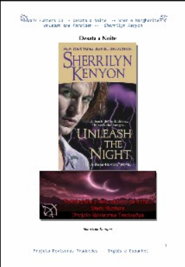Sherrilyn Kenyon Dark Hunters XIII DESATA A NOITE pdf download gratis