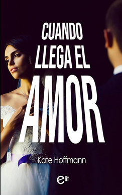 Kate Hoffmann Os Quinns VII QUANDO CHEGA O AMOR