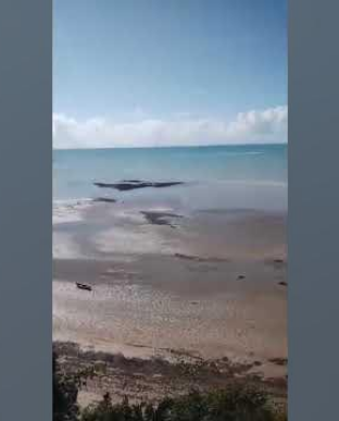 P-386 A Ajuda do Sistema Solar William Voltz